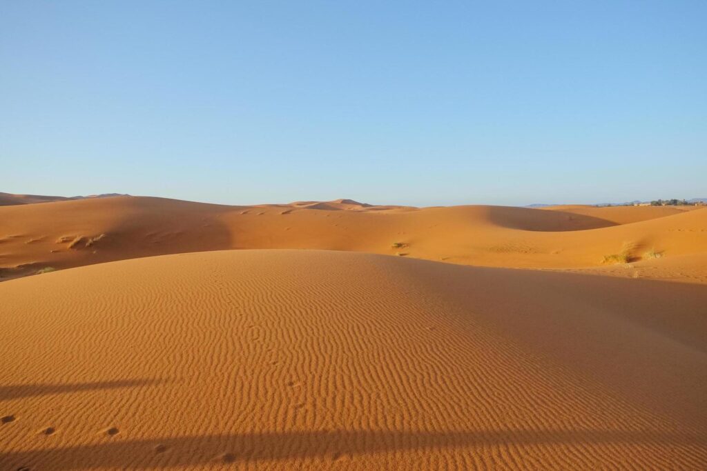 rajasthan-desert