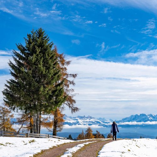 kashmir trip aniket holidays (10)