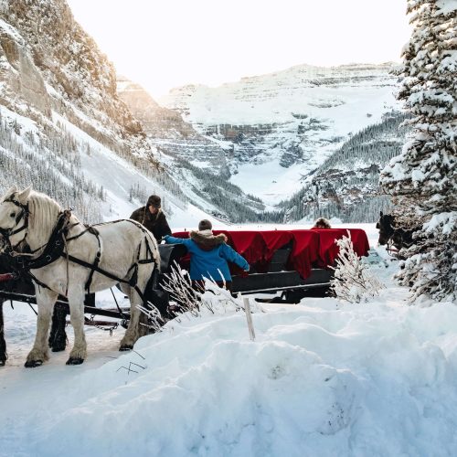 kashmir trip aniket holidays (9)