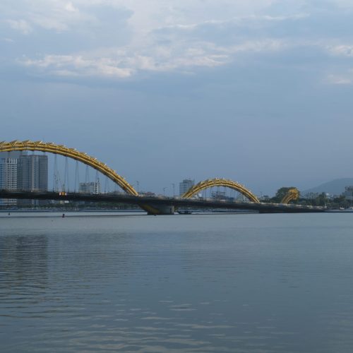 Vietnam-snake-bridge